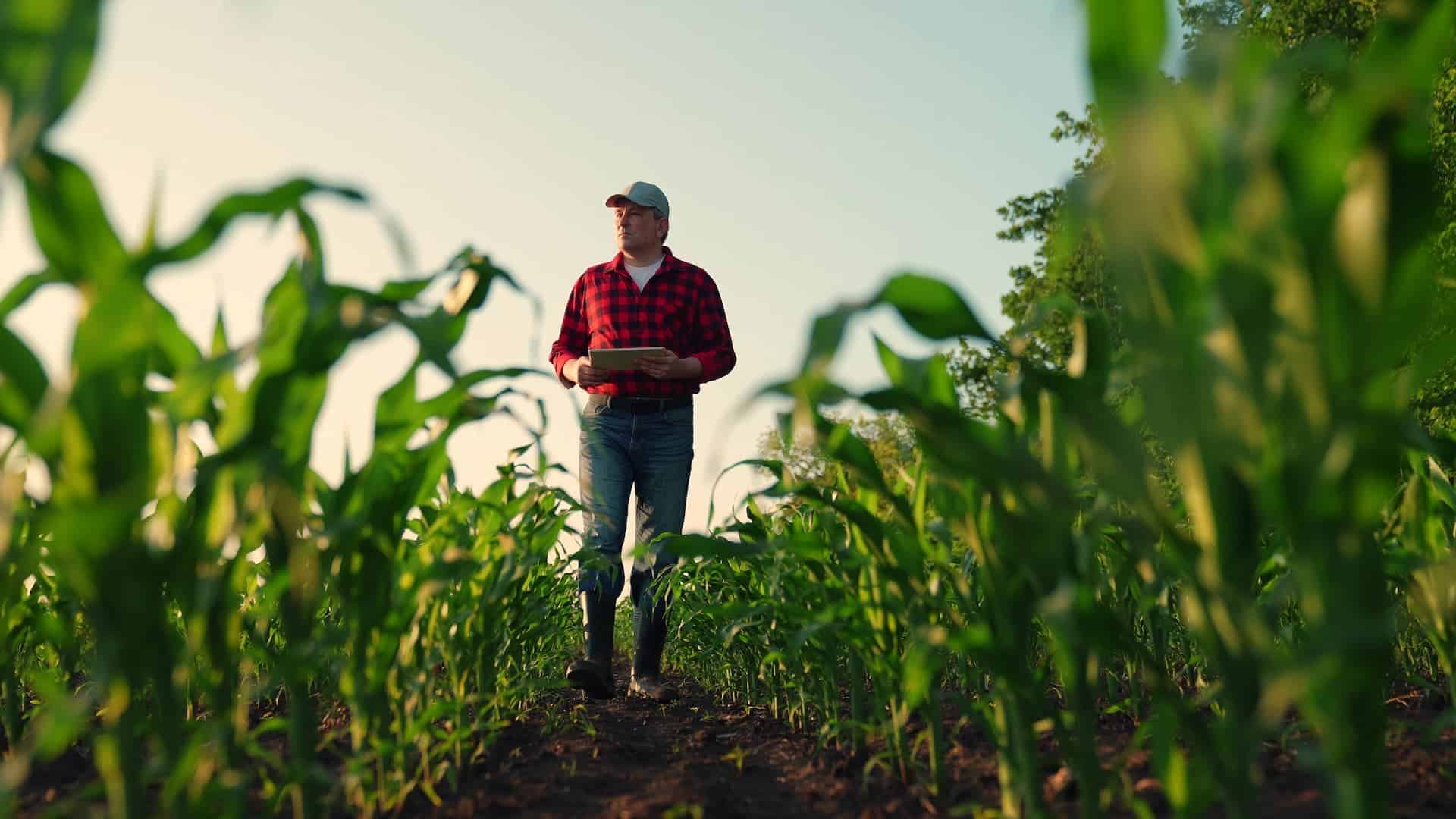 Agriculture