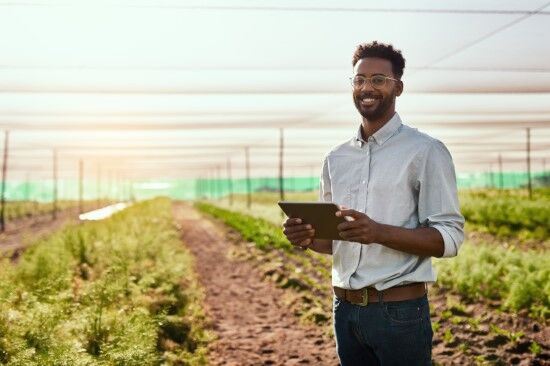 Agriculture 2 Modern Farmer Working On A Tablet Device